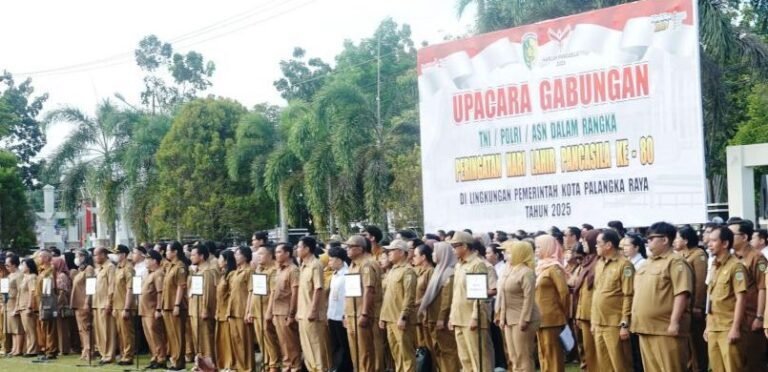 CREATOR: gd-jpeg v1.0 (using IJG JPEG v90), quality = 82